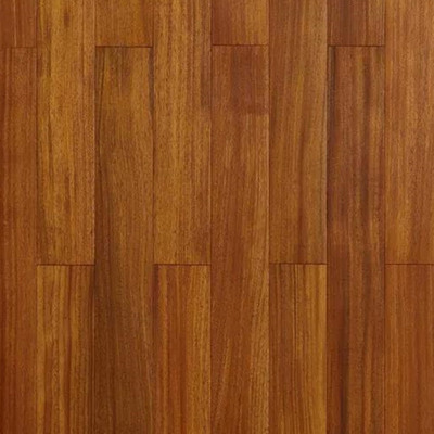 圆盘豆DR005-平面