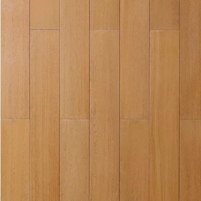 圆盘豆DR019-拉丝格丽斯