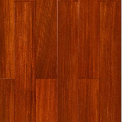 圆盘豆DR006-平面