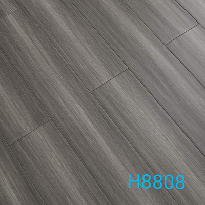 H8808